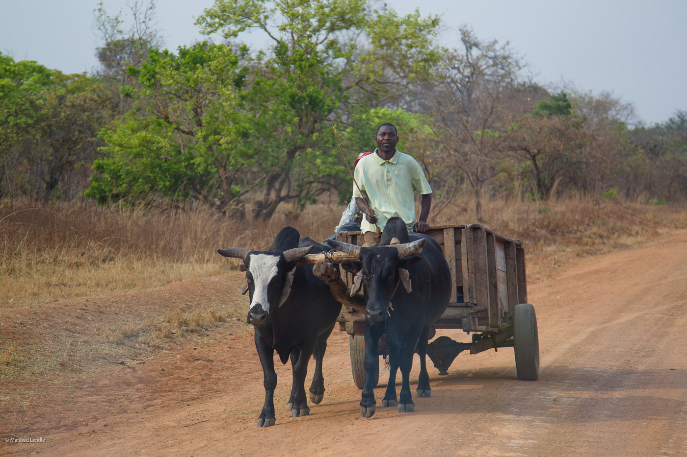 Zambia_2011_1D-7728.jpg
