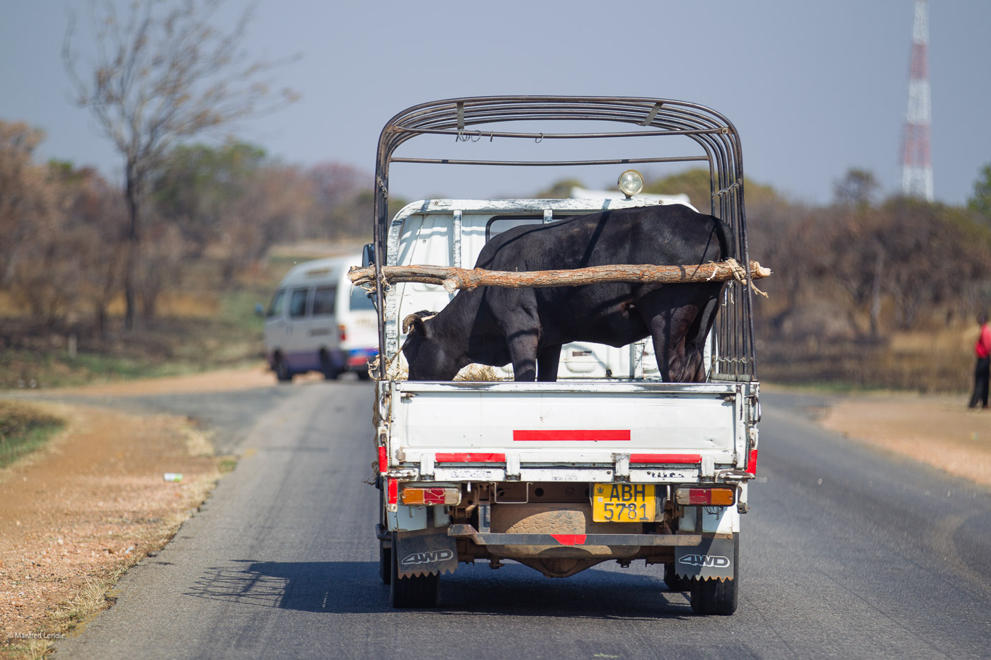 Zimbabwe_2012_1D-0530.jpg