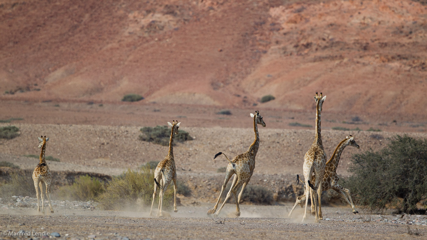 2015_Namibia_1D-2761.jpg