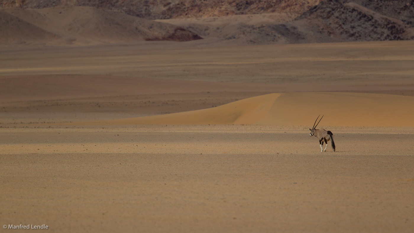 2015_Namibia_1D-3006.jpg